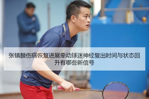 张镇麟伤病恢复进展牵动球迷神经复出时间与状态回升有哪些新信号
